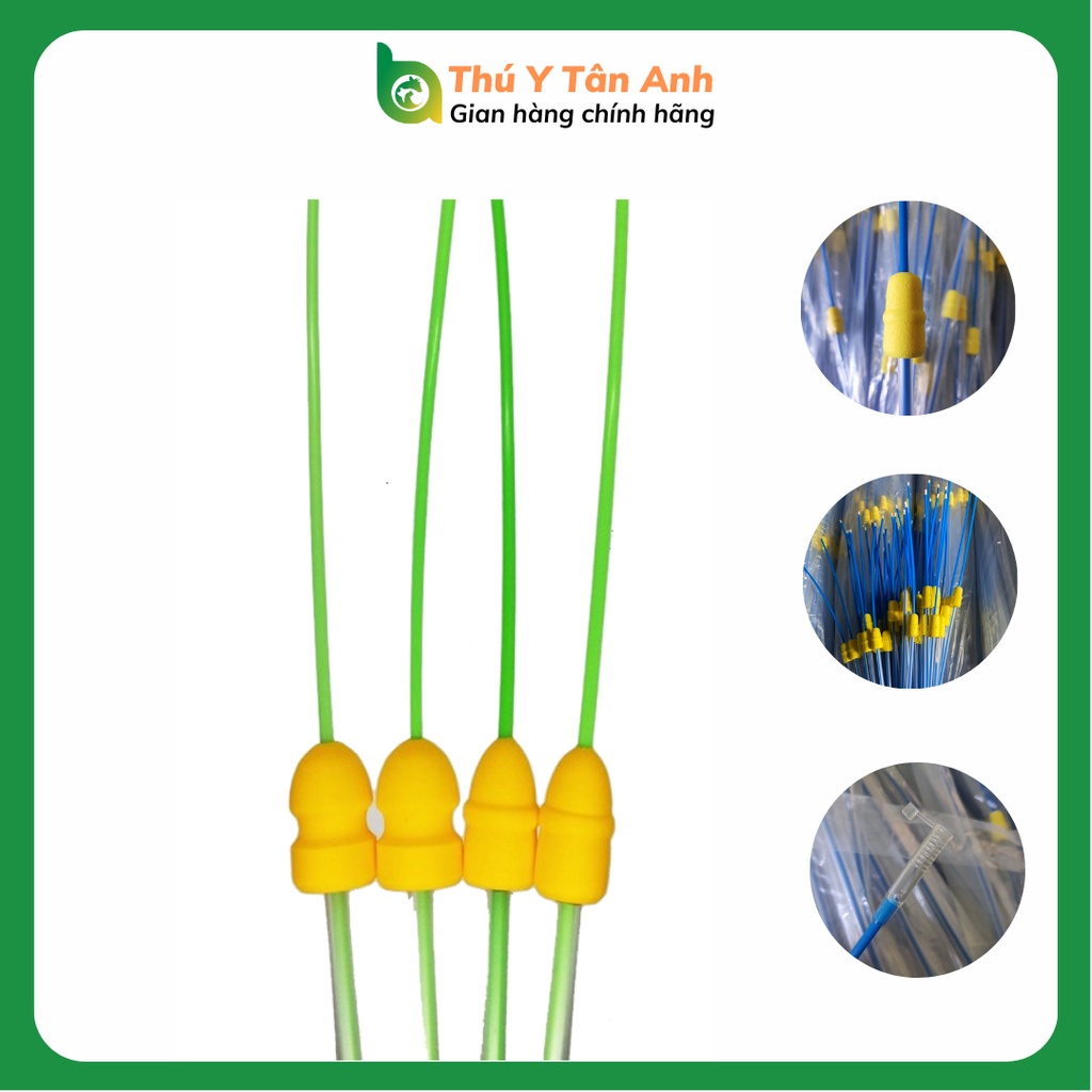 10 Que phối sâu - vòi phối sâu cho heo đầu xốp nâng tầm sinh sản heo nái - THÚ Y T N ANH