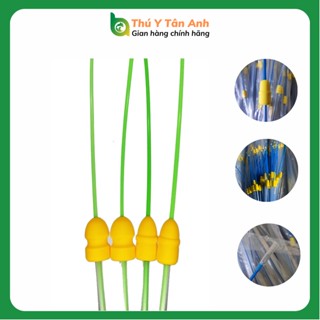 10 Que phối sâu - vòi phối sâu cho heo đầu xốp nâng tầm sinh sản heo nái - THÚ Y T N ANH