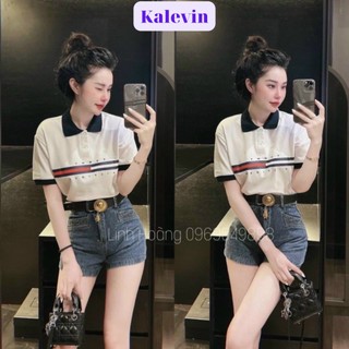 Áo phông Polo Nữ cổ bẻ hot 2022