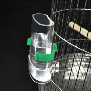 Cóng đựng thức ăn, nước uống cho chim cảnh