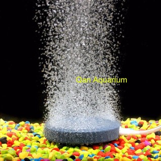 Đĩa sủi Oxy siêu mịn hồ cá 12cm, Đĩa sủi đá bể cá