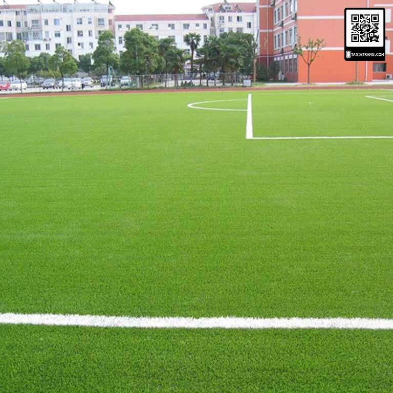 HẠT GIỐNG CỎ THẢM CỎ BERMUDA XANH - SINH TRƯỞNG VÀ PHÁT TRIỂN LÂU NĂM