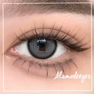 Lens xám bạc viền (tặng khay gương)
