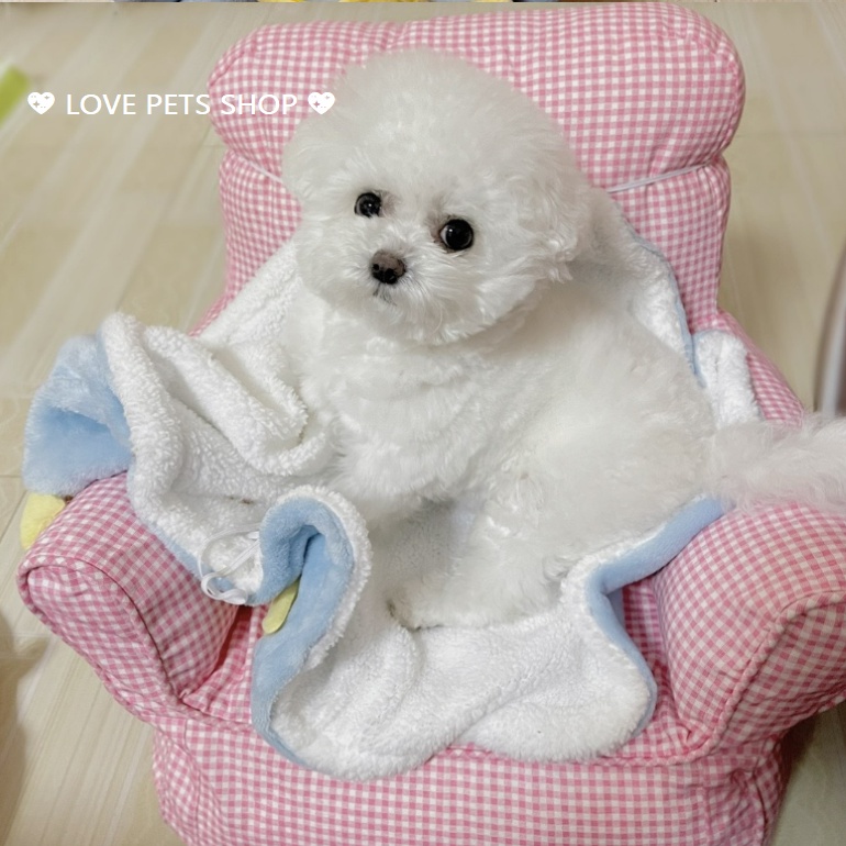 ÁO KHOÁC CHO CHÓ MÈO MỀM MỊN CÓ HÌNH NGÔI SAO VÀNG "MẪU MỚI" - LOVE PETS SHOP