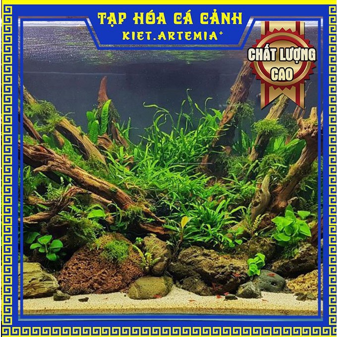 Cát trắng thủy sinh, cát vàng thủy sinh, cát thủy sinh túi 1kg