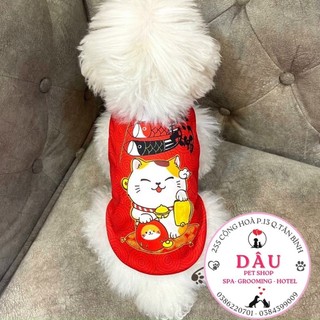 ÁO MÈO THẦN TÀI