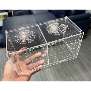 Lồng dưỡng tép, hộp mica nuôi cá, box mica, lồng tách cá con với cá lớn