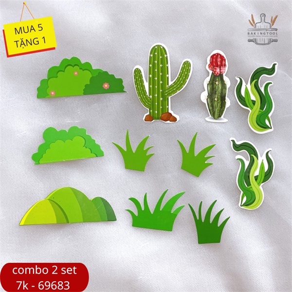 Set que giấy CÂY CỎ-RONG-XƯƠNG RÔNG(combo 2)