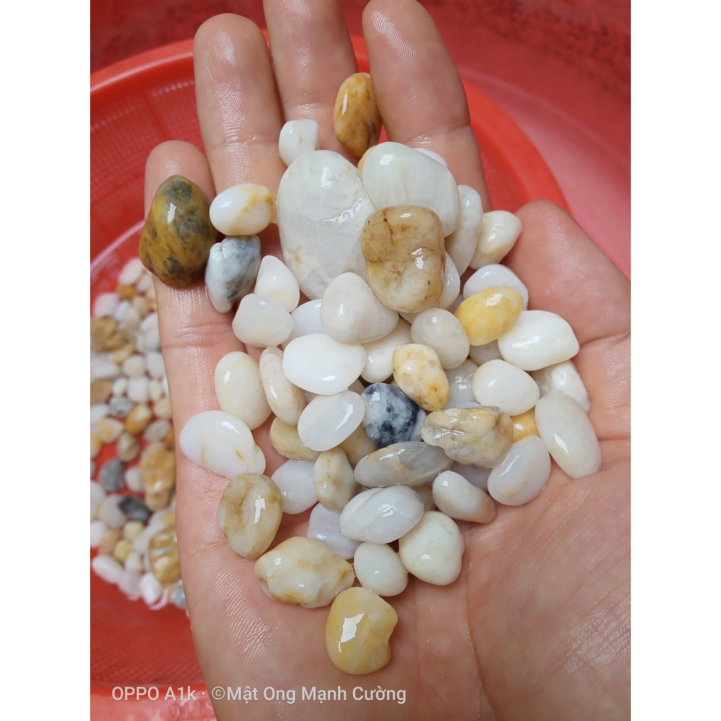 COMBO CỜ Ô QUAN VÀ CỜ CA RÔ