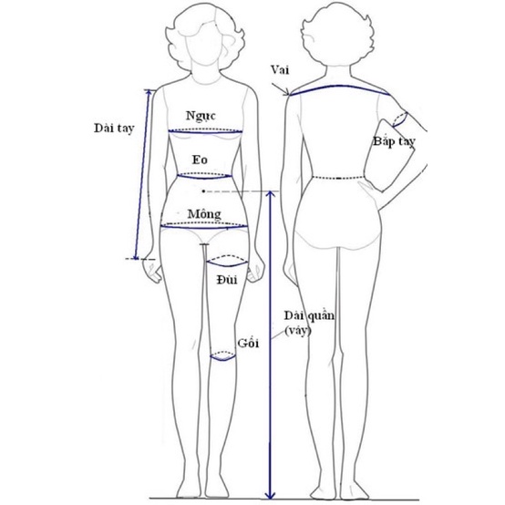 Thước dây cuộn may đồ, xác định số đo cơ thể 150cm, không đầu sắt