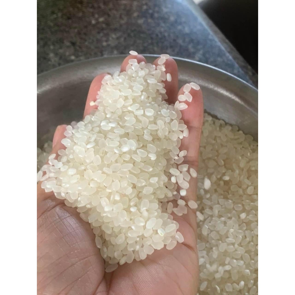 Gạo Lài Nhật VJA - Japonica Túi 10kg thơm ngon thượng hạng | BigBuy360 - bigbuy360.vn