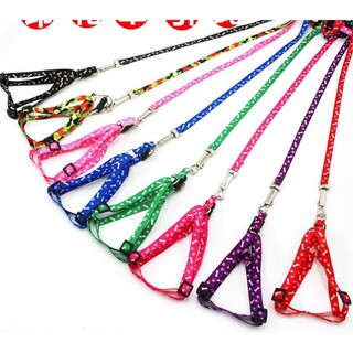 DÂY DẮT CHÓ MÈO TỪ 1-15KG