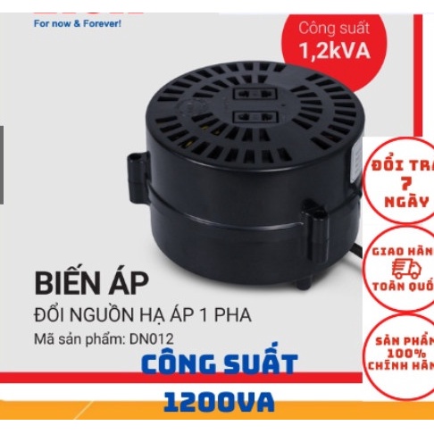 Biến áp Lioa mang đi nước ngoài