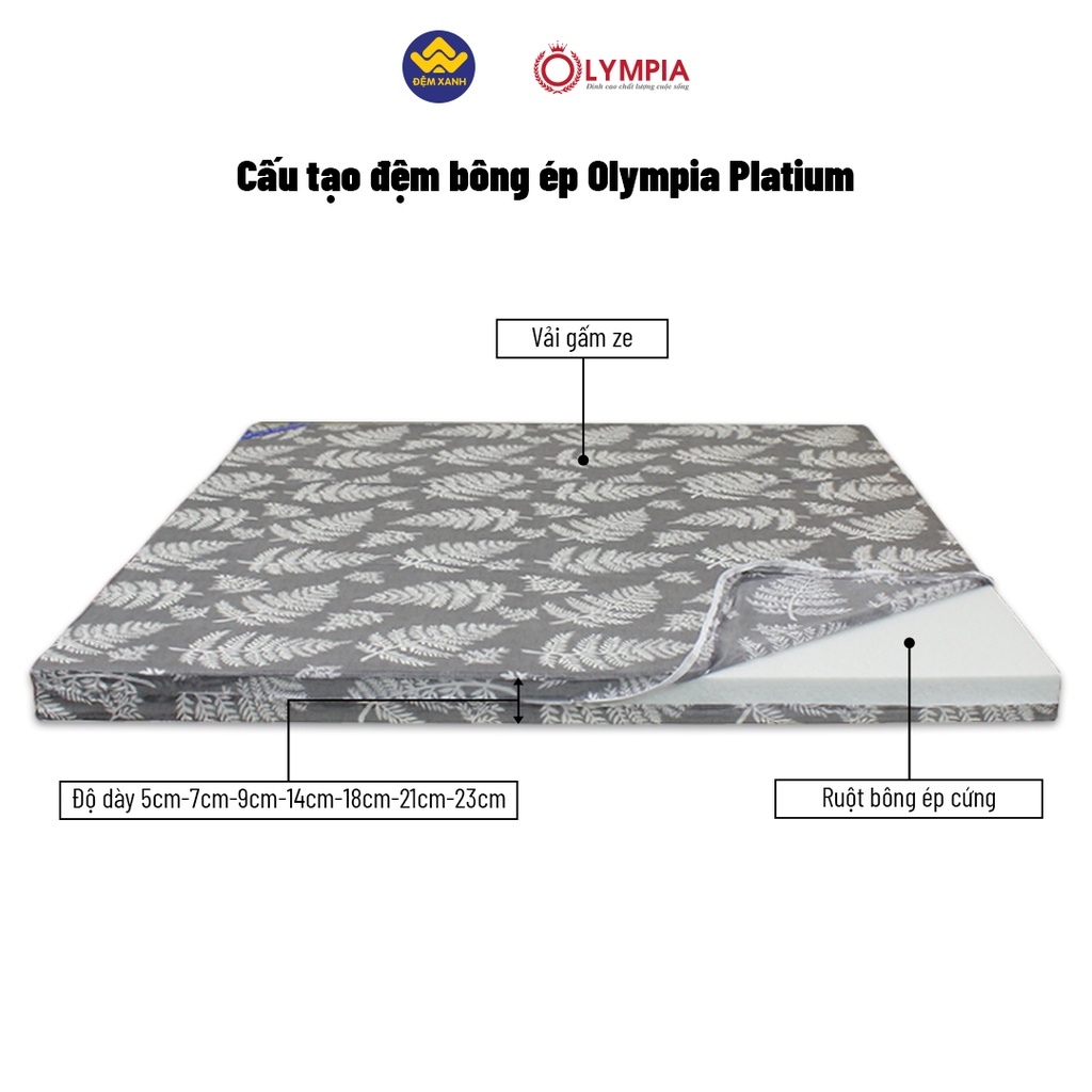 Đệm bông ép Olympia Platium - Hàng chính hãng bảo hành 7 năm