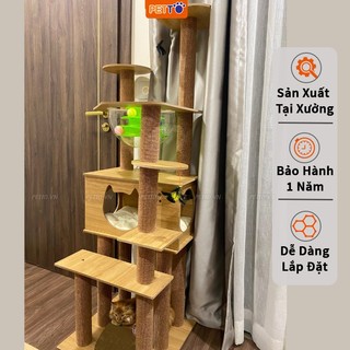 Nhà cây cho mèo PETTO nhiều tầng kèm LỒNG KÍNH cao cấp láp rắp dễ dàng hình mèo dễ thương kết hợp decor nhà