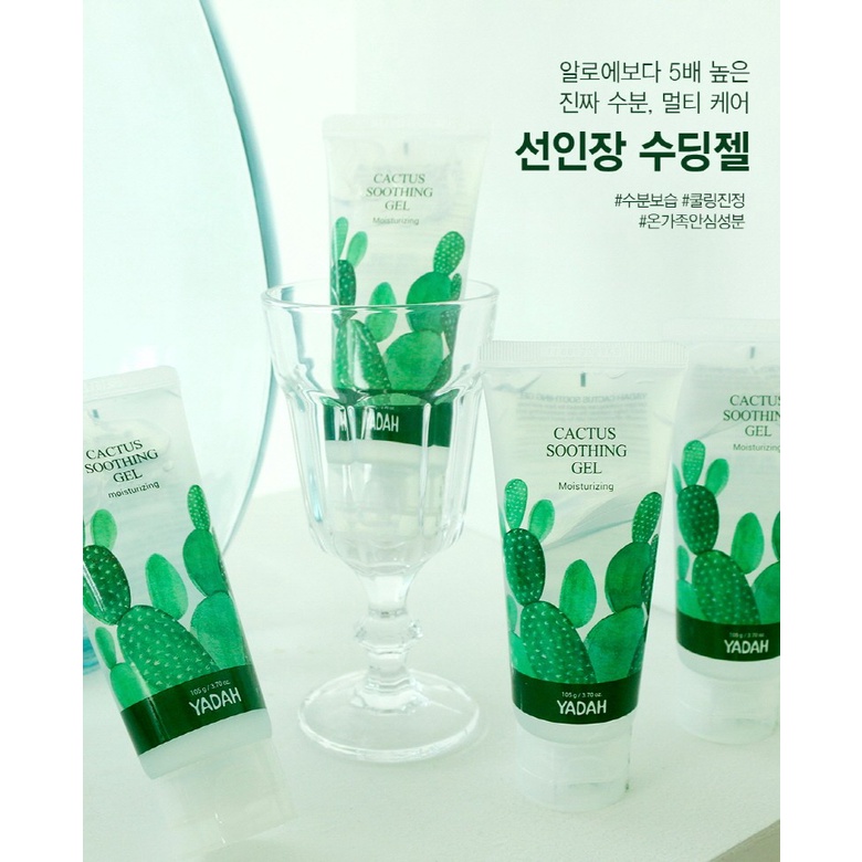 Gel Dưỡng Ẩm Chiết Xuất Xương Rồng Cactus Soothing Gel Yadah 250ml