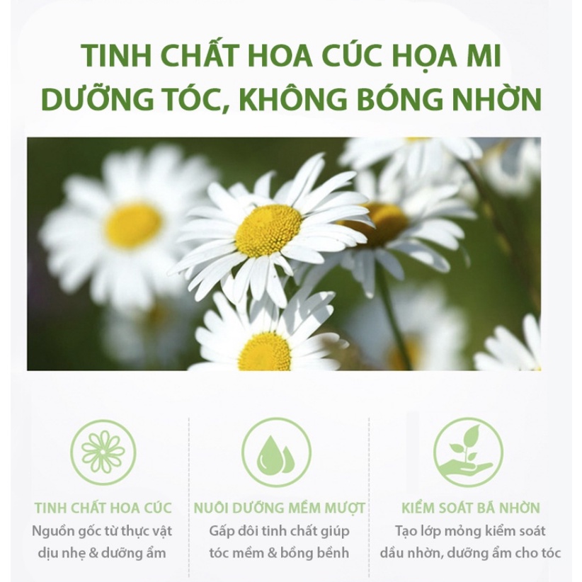 Combo Dầu Gội, Dầu Xả Sữa Tắm Hương Nước Hoa Muối Biển Flowery 500ml Chăm Sóc Bảo Vệ Tóc Nuôi Dưỡng Làn Da Body