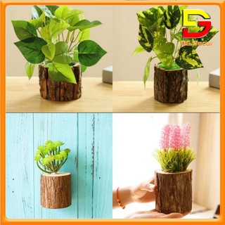Chậu giả thân gỗ trồng cây trang trí nhà cửa chậu cây decor độc đáo dc-221
