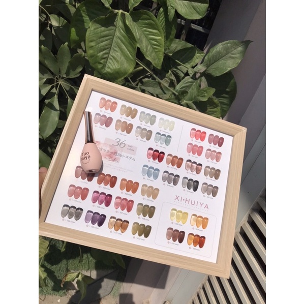 Set sơn gel thạch 36 màu cao cấp tặng bảng màu