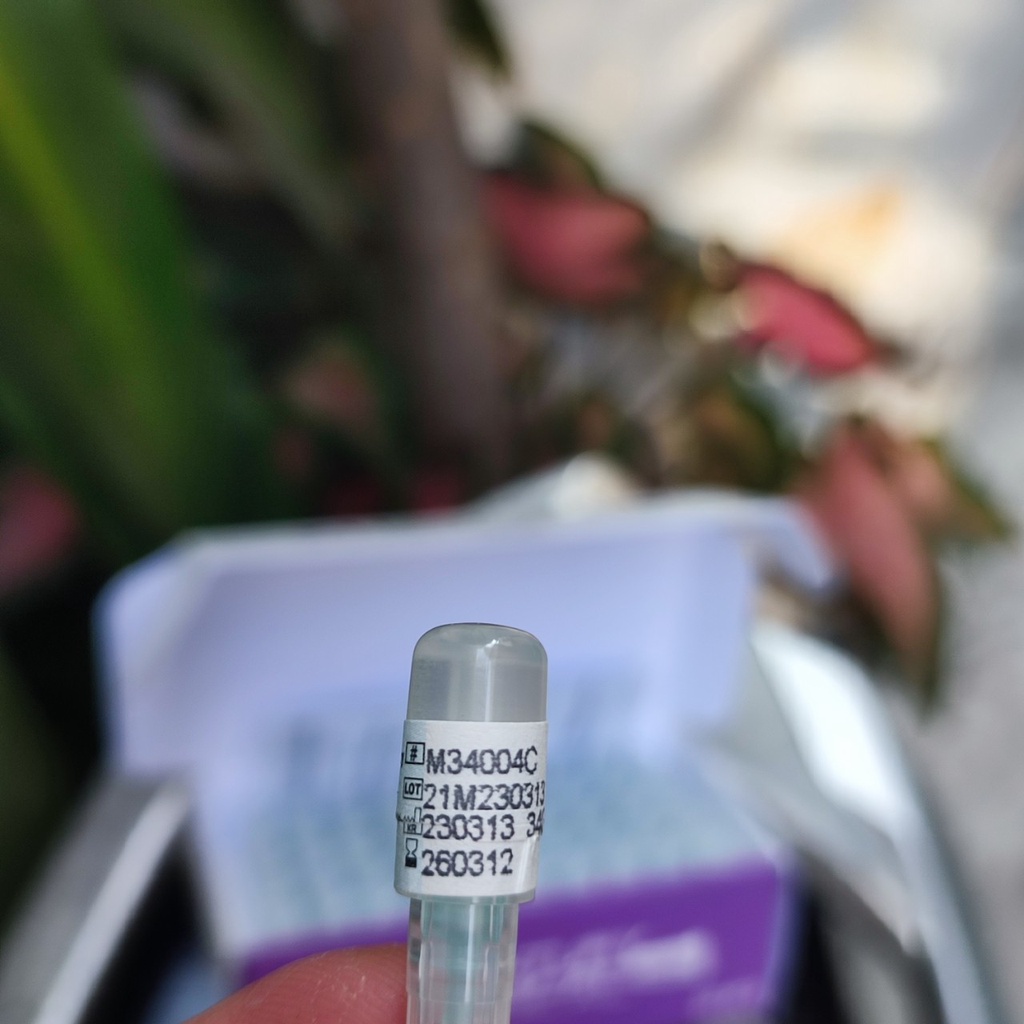 (Q1-HCM) |01 CÂY| Đầu Kim Tiêm Meso Pico Needle Hàn Quốc Chính Hãng - Kim Tiêm Căng Bóng Pico Needle 34g4mm