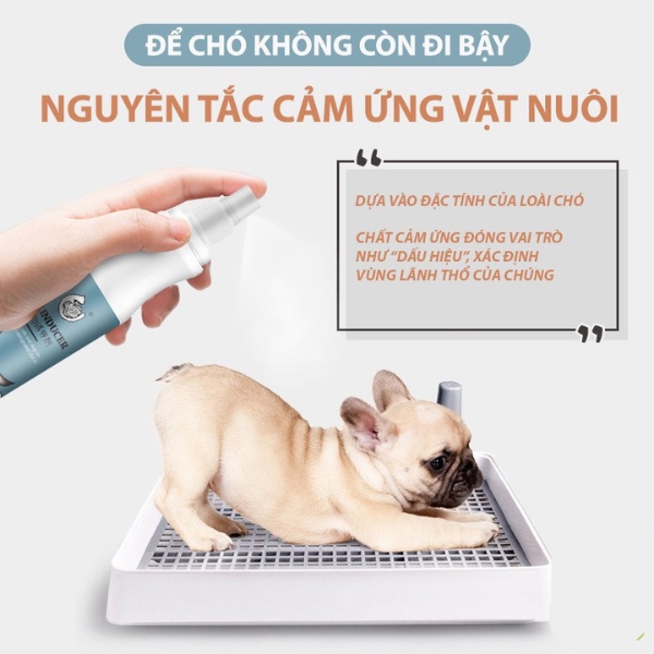 Xịt định vị vệ sinh chó mèo, tập thói quen đi vệ sinh đúng chỗ cho thú cưng