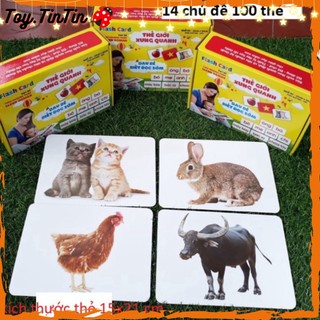 Bộ thẻ học từ vựng size to cho bé- dạy trẻ biết đọc sớm - dạy bé nhận biết về thế giới xung quanh toy.tintin