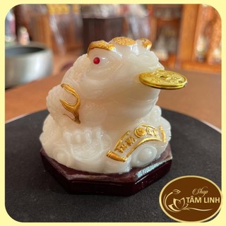 Cóc (Thiềm Thừ) Tỳ Hưu Ngọc Phong Thủy