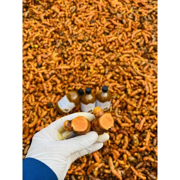 1/2L CỐT NGHỆ GẤC HẠ THỔ DÙNG CHO DA MẶT • Mamy Gold