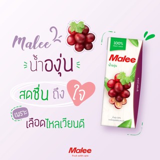 Nước Ép Nho Malee 200ml - Nhập Khẩu Thái Lan | Malee 100% Grape Juice 200ml