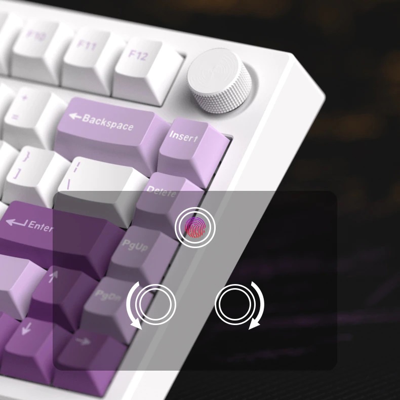 Bàn phím cơ FL-Esports GP75 CPM Polar Night / Taro Purple