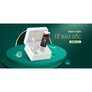 [ Chính Hãng ] Tinh Chất Tế Bào Gốc Yobe Cell - YobeCell