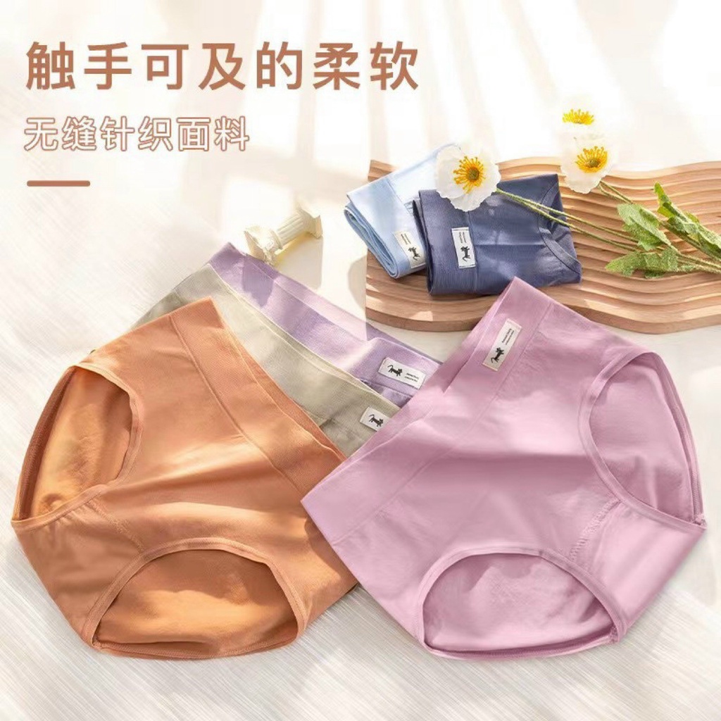 .Quần lót nữ cotton phối hình  thú cưng không đường may mã 524