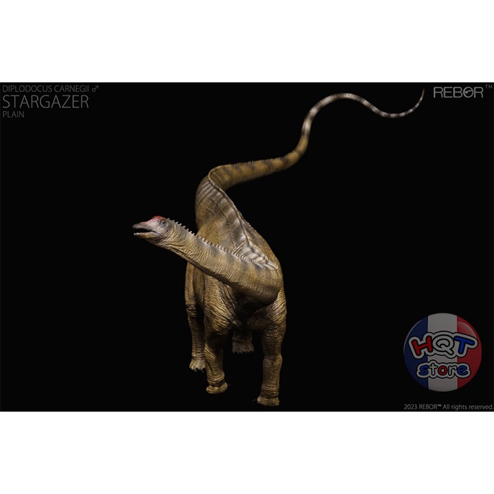 Mô Hình Khủng Long Diplodocus Rebor tỉ lệ 1/35 chính hãng