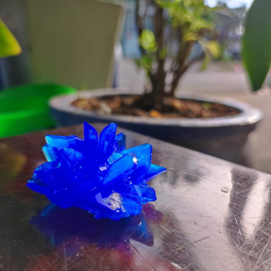 - CuSO4 kèm hướng dẫn nuôi cụ thể