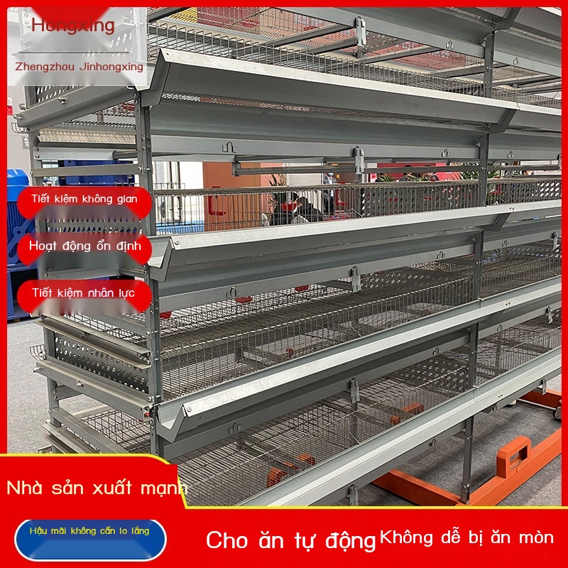 Nhà máy bán trực tiếp máy móc thiết bị chăn nuôi, lồng gà đẻ 5 tầng, máy nhặt trứng tự động