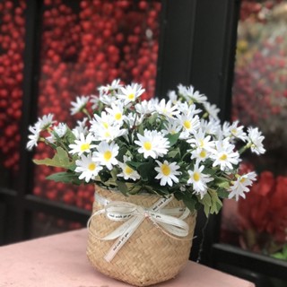 Giỏ hoa cúc hoạ mi kèm giỏ cói và nơ trang trí decor nhà