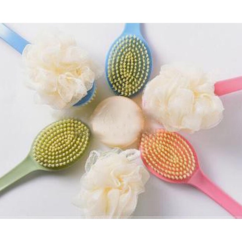 Cây cọ lưng hai đầu