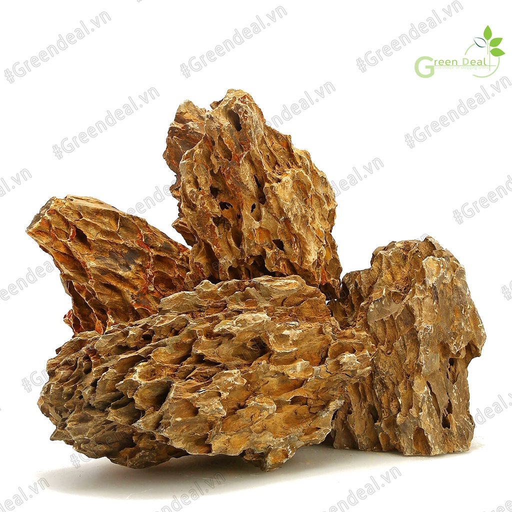 Dragon Stone  | Đá Tiger setup Layout hồ cá thủy sinh, trang trí tiểu cảnh bonsai, hồ bán cạn