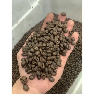 Cà Phê Specialty Pha Phin Nguyên Chất Robusta 100% - Cà phê rang xay nguyên chất