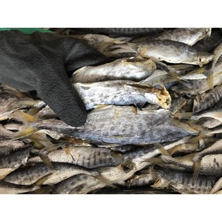 500g Cá thu nhỏ héo mặn / Cá thu phấn