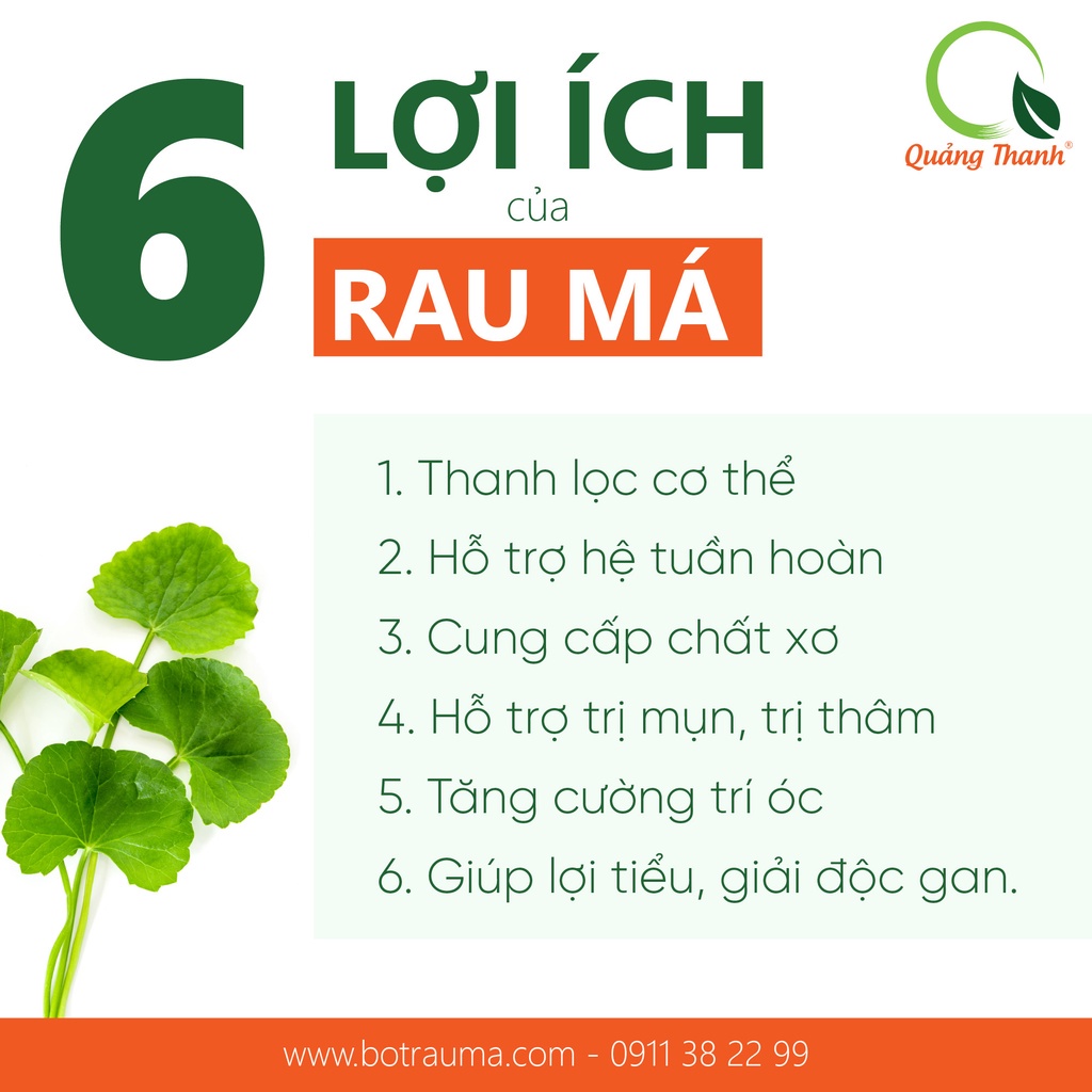 Bột Rau Má Quảng Thanh 100% Nguyên Chất Sấy Lạnh - Thanh nhiệt, mát gan, giảm mụn - Gói 50 gr