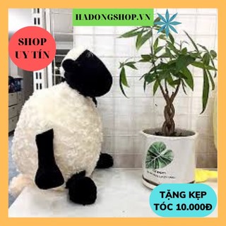 Gấu bông cừu béo dễ thương size 40cm, 50cm , gối ôm cho bé - haunnishop.vn
