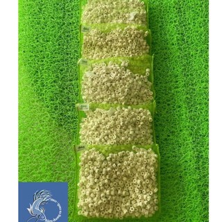 5 túi sứ lọc mini ring mountain tree- cân bằng ph nước