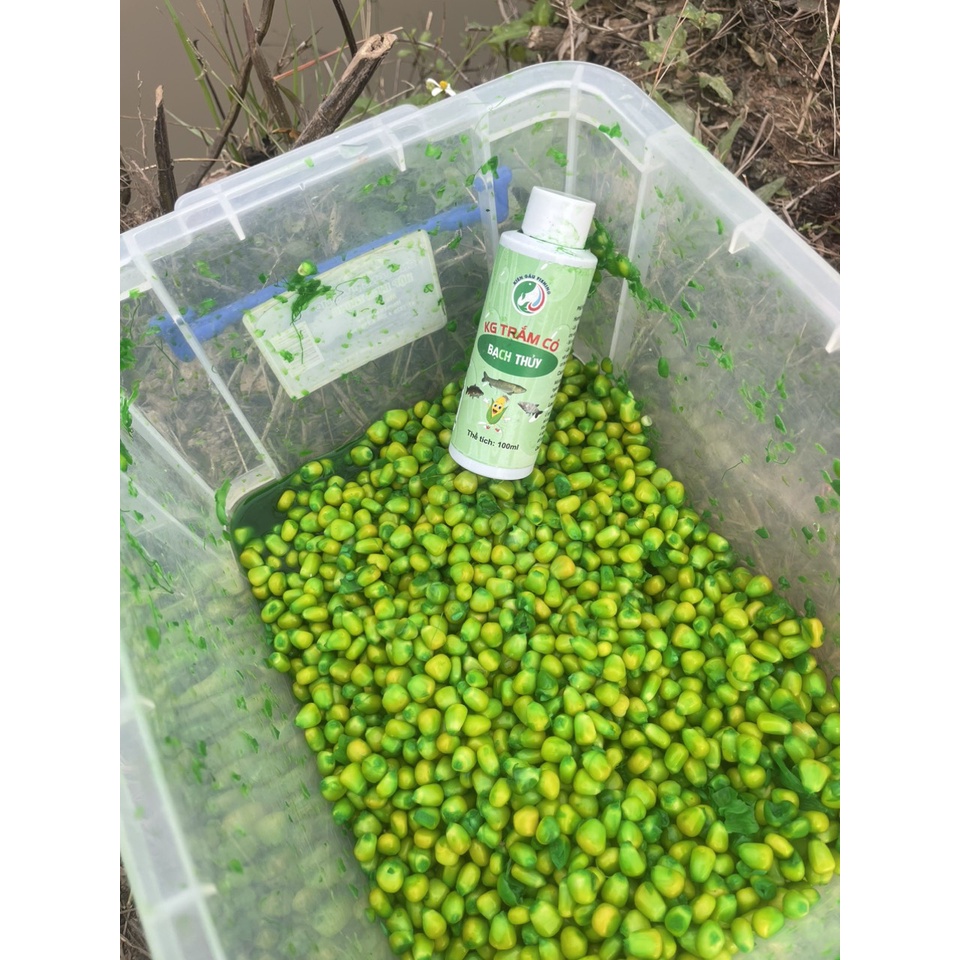 Hương Liệu Ngâm Ngô KG Bạch Thủy Câu Trắm - Chép