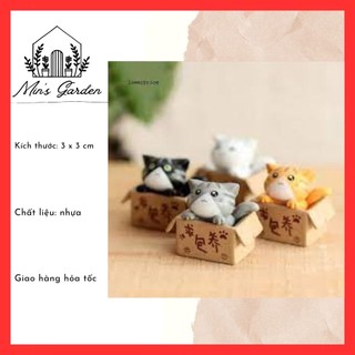 Mèo trong hộp 🔥FREE SHIP🔥 phụ kiện trang trí tiểu cảnh