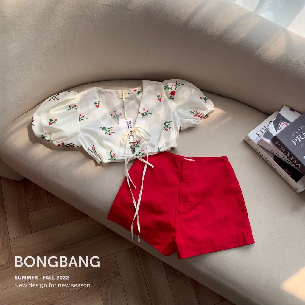 Áo Croptop Hoa Thêu, Áo Kiểu Nử Cổ V Tay Phồng Thời Trang Mùa Hè 2023 Phong Cách Trẻ Trung Cho Nữ.