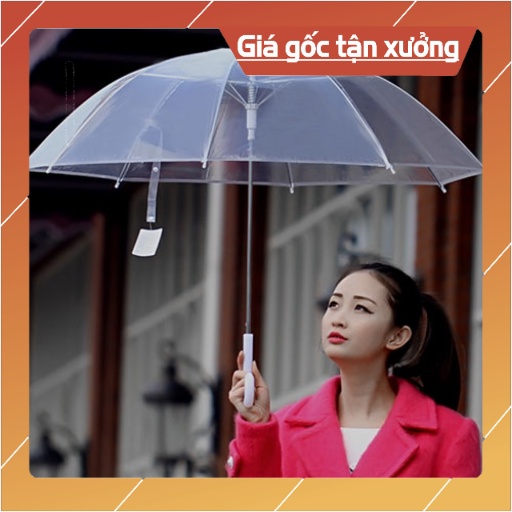 Ô TRONG SUỐT/ Ô ĐI MƯA CÁN DÀI CÓ TAY CẦM