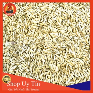 Lúa Hàm Trâu 2Kg Cho Gà Đá Chim Cảnh