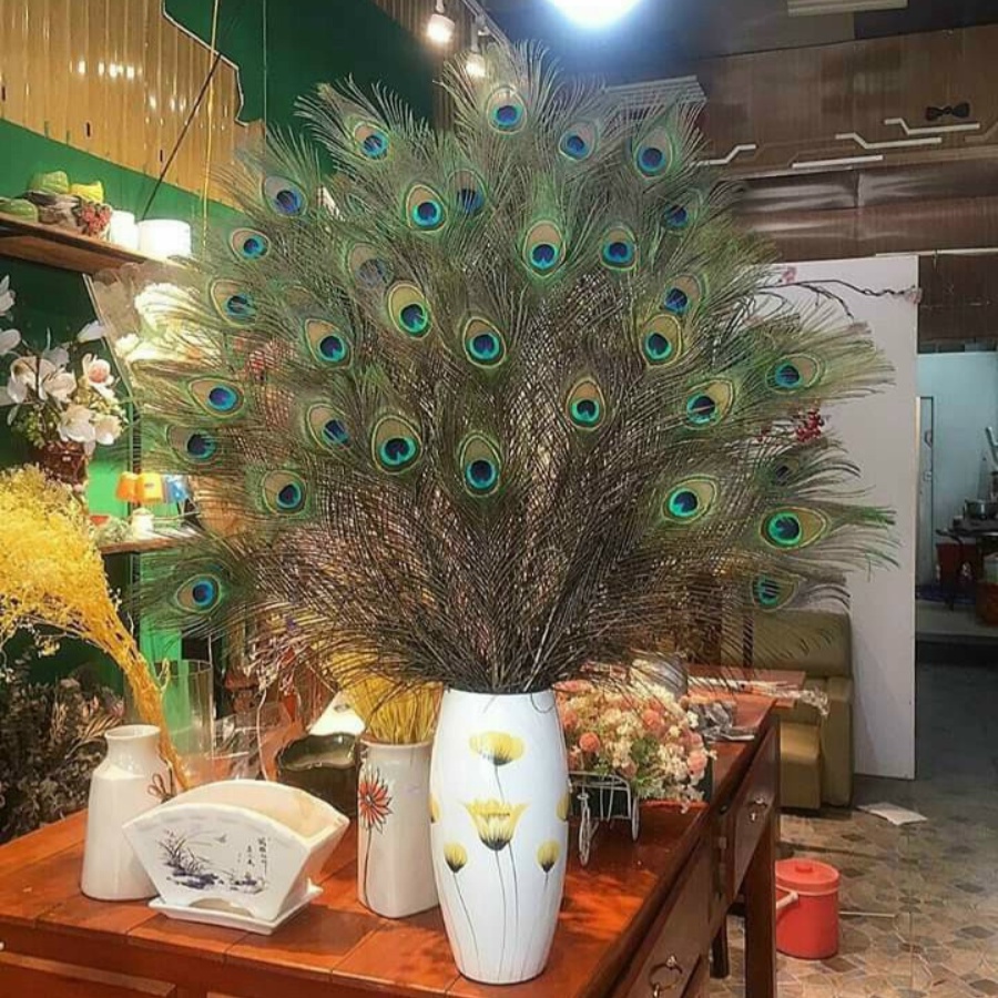 Lông Công Phong Thủy Ấn Độ 80-90cm Hàng Đẹp Mắt To 4-6cm 100% Tự Nhiên [ HÀNG LOẠI 1]