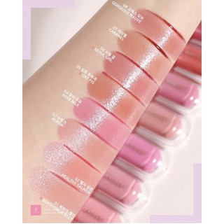 THANH LÝ CẬN DATE] SON TINT AMUSE THUẦN CHAY JEL FIT TINT